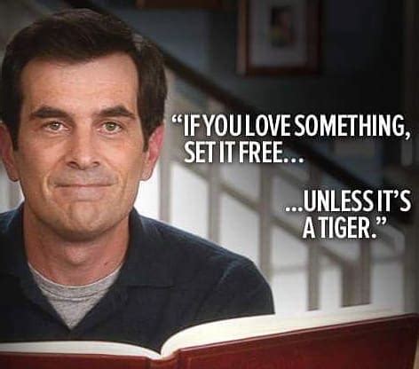 phil dunphy quotes funny|Best 37 Phil Dunphy Quotes .